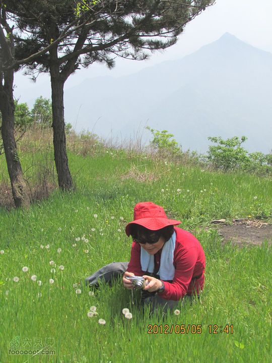 5.5 五泉岭--甘峪梁--佛疙瘩穿越2012.5.5五泉岭穿越 155_副本