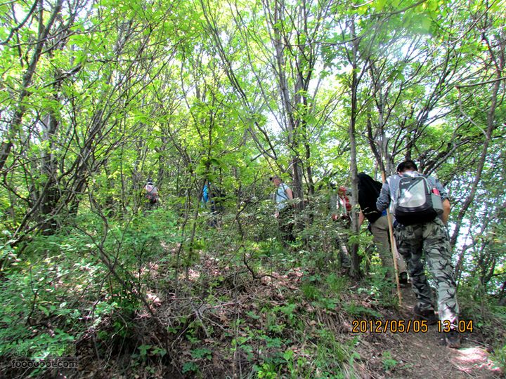 5.5 五泉岭--甘峪梁--佛疙瘩穿越2012.5.5五泉岭穿越 181_副本