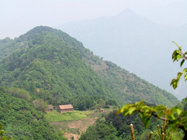 5.5 五泉岭--甘峪梁--佛疙瘩穿越2012.5.5五泉岭穿越 202_副本