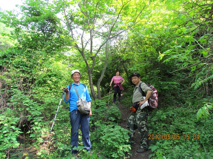 5.5 五泉岭--甘峪梁--佛疙瘩穿越2012.5.5五泉岭穿越 292_副本