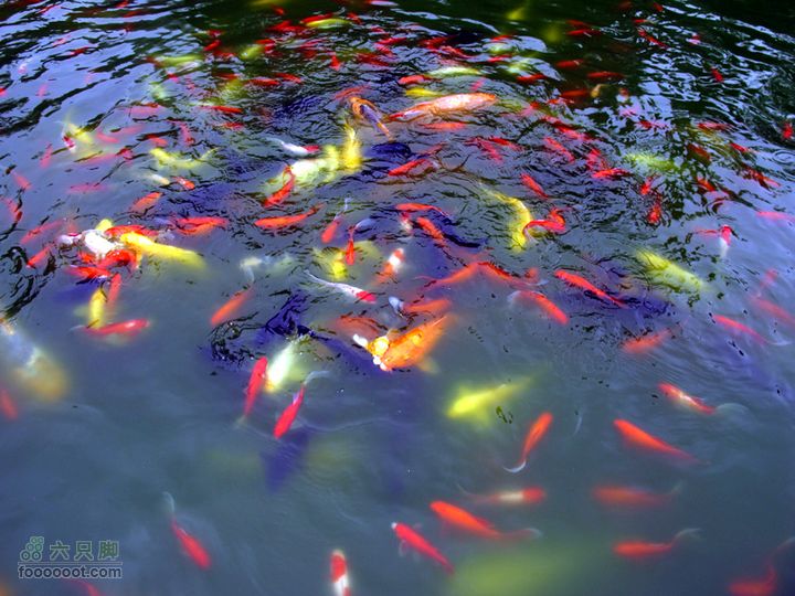 恩施的小山包^_^IMG_1162
