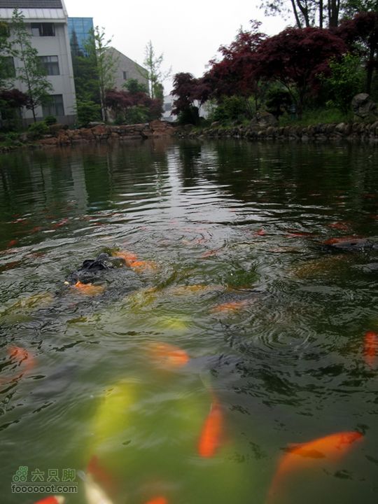 恩施的小山包^_^IMG_1179