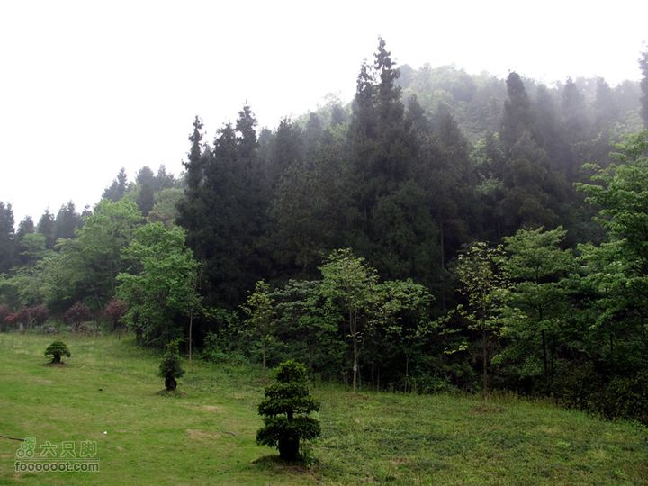 恩施的小山包^_^IMG_1188