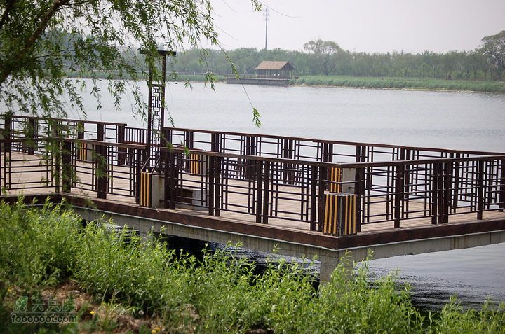 通州大运河森林公园两岸徒步观景平台