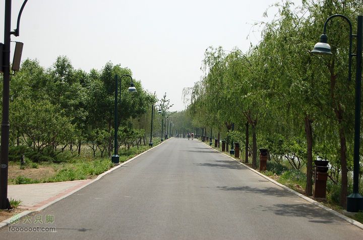 通州大运河森林公园两岸徒步柏油路面