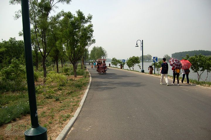 通州大运河森林公园两岸徒步有人力多人游车