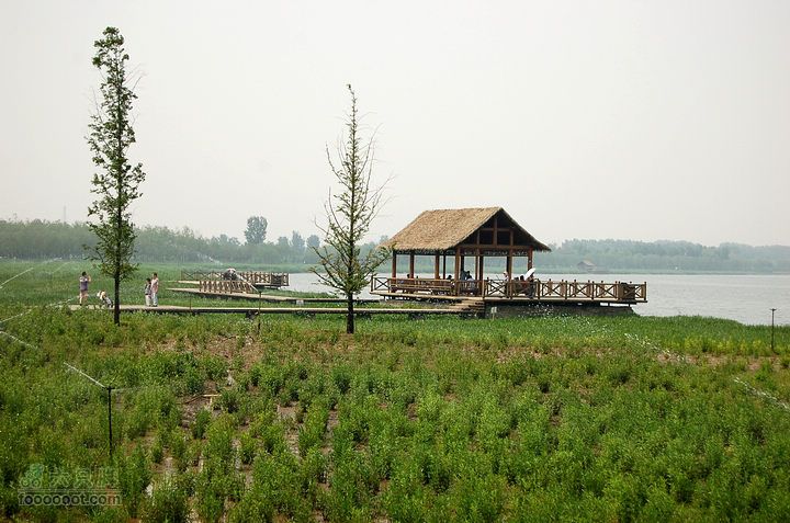 通州大运河森林公园两岸徒步临河小亭