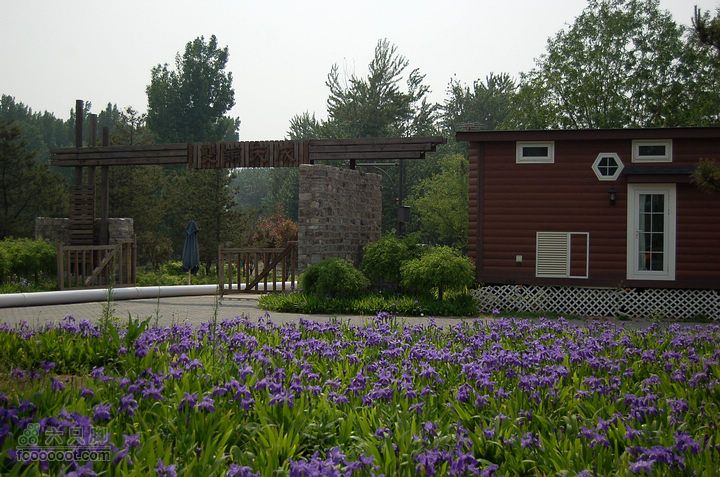 通州大运河森林公园两岸徒步高档小区门口