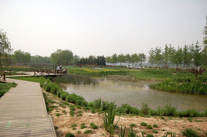 通州大运河森林公园两岸徒步55