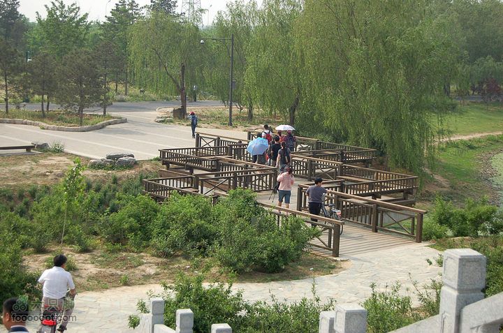 通州大运河森林公园两岸徒步曲折桥