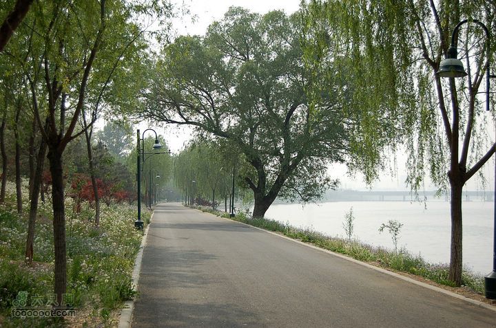 通州大运河森林公园两岸徒步十分的宁静