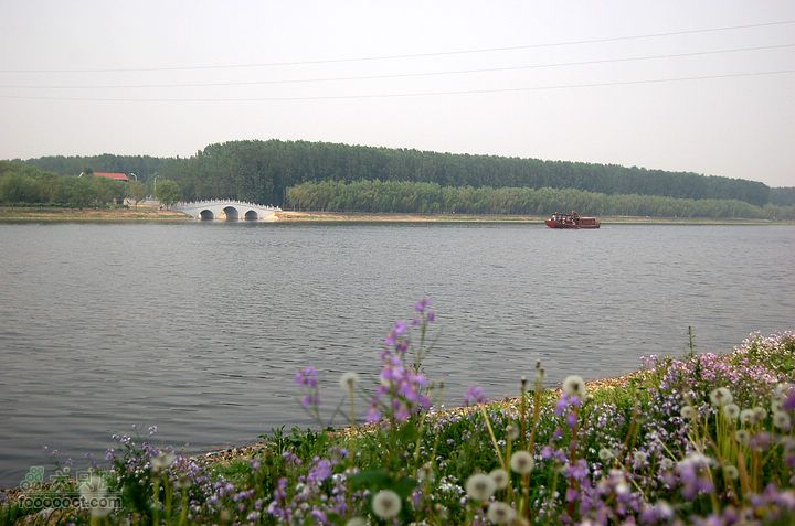 通州大运河森林公园两岸徒步游船词翩翩驶来