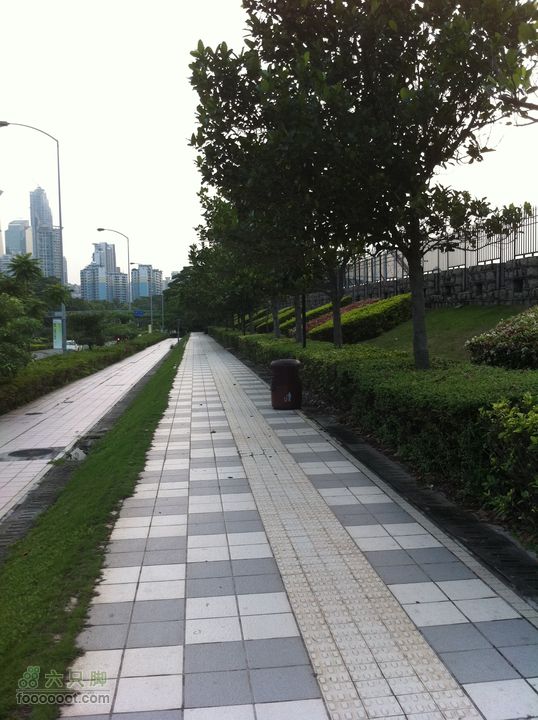 香蜜湖绿道红荔西路（右边为香蜜湖护坡）