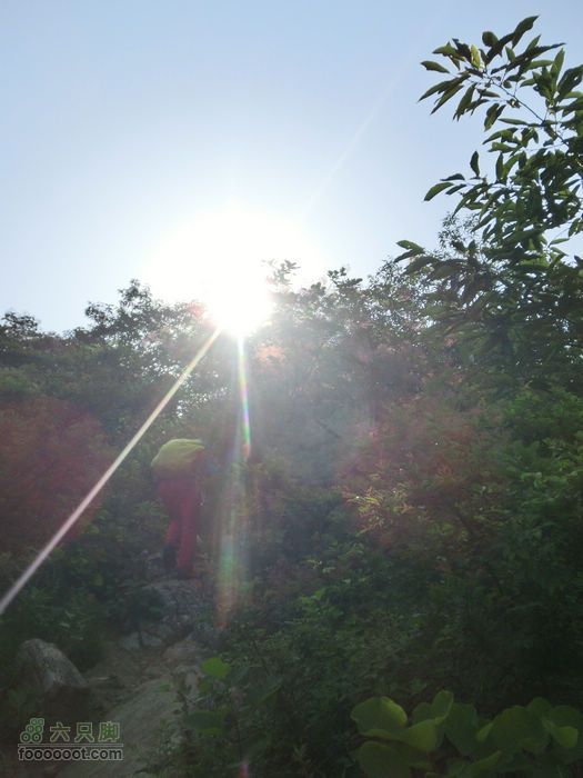 嵩岳寺穿越CIMG0009