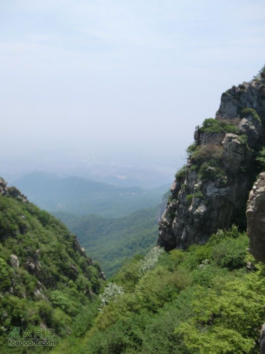 嵩岳寺穿越CIMG0063