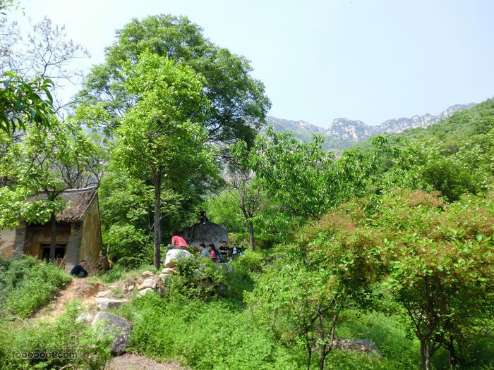 嵩岳寺穿越CIMG0119