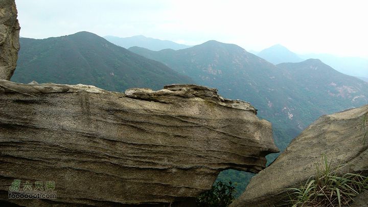 江门古兜狮子头IMG_20120505_124214