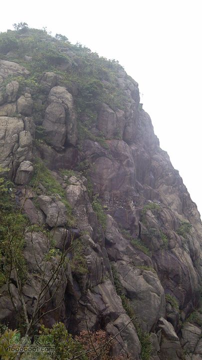 江门古兜狮子头IMG_20120505_131613