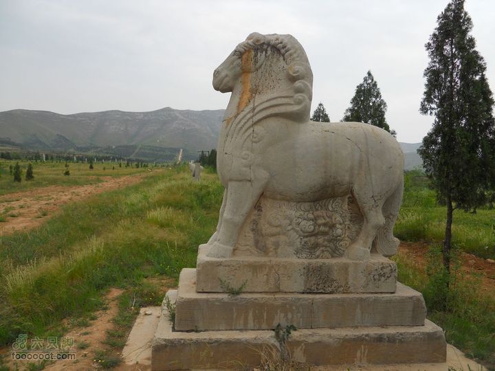 骑行唐泰陵  又观龙首渠DSCN1447