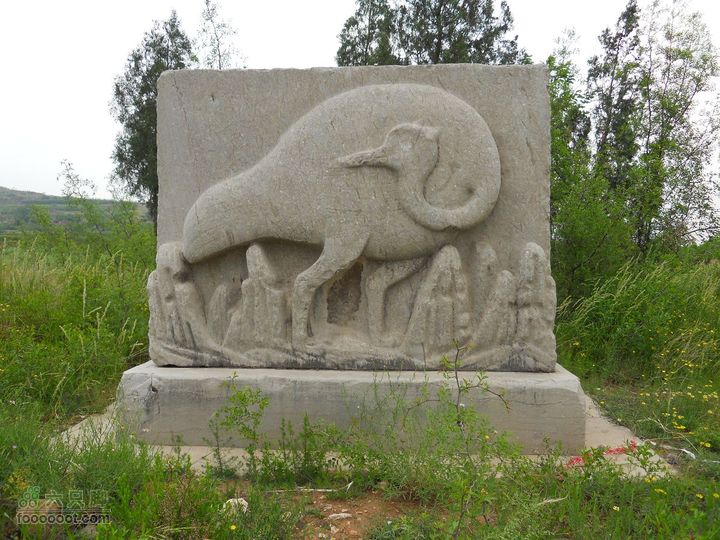 骑行唐泰陵  又观龙首渠DSCN1448