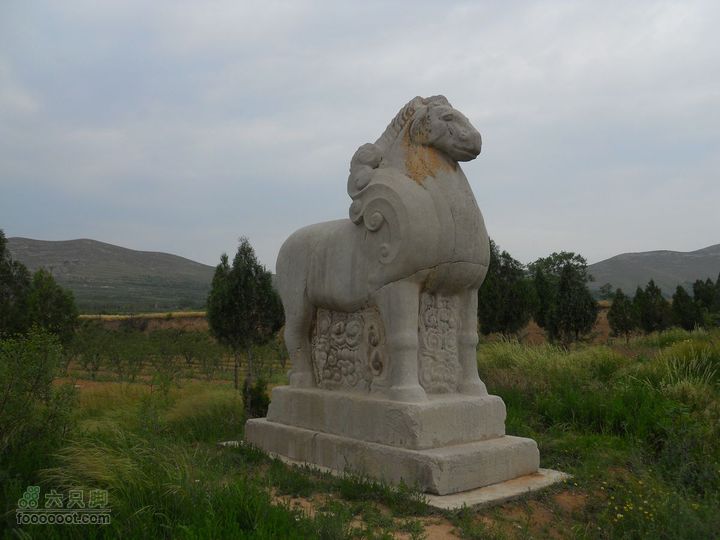 骑行唐泰陵  又观龙首渠DSCN1449