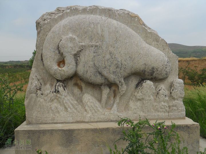 骑行唐泰陵  又观龙首渠DSCN1451