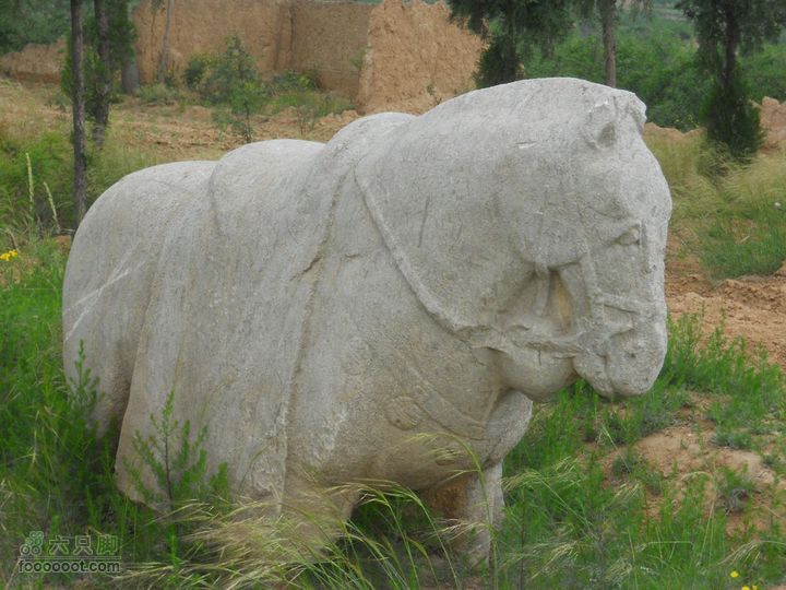 骑行唐泰陵  又观龙首渠DSCN1452