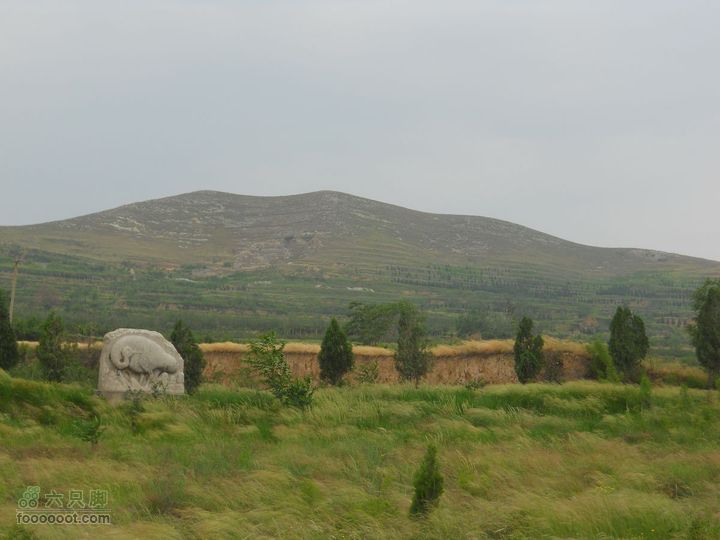 骑行唐泰陵  又观龙首渠DSCN1453