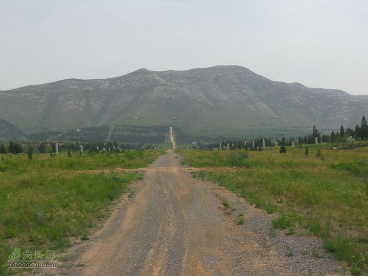 骑行唐泰陵  又观龙首渠DSCN1454