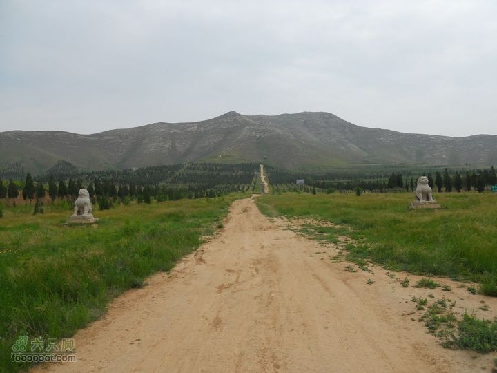 骑行唐泰陵  又观龙首渠DSCN1455