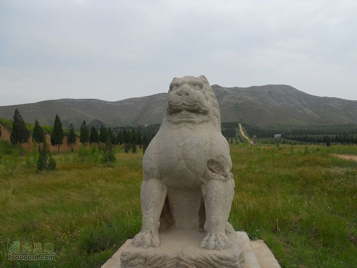 骑行唐泰陵  又观龙首渠DSCN1457