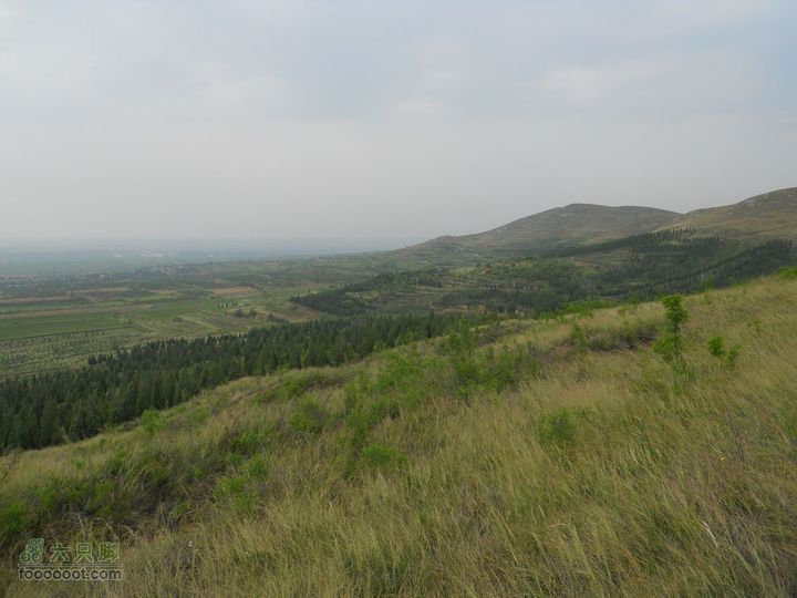 骑行唐泰陵  又观龙首渠DSCN1460