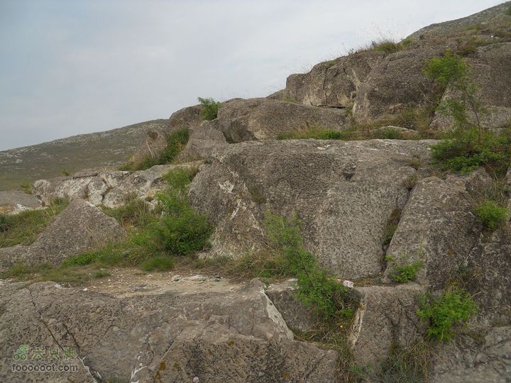 骑行唐泰陵  又观龙首渠DSCN1461