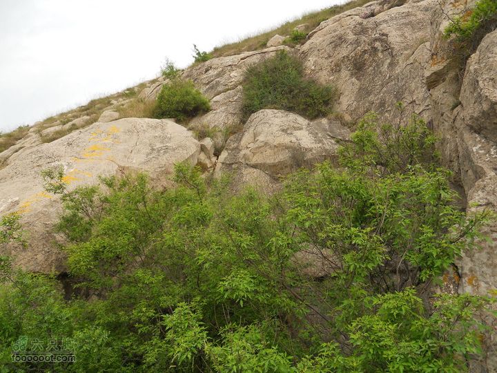 骑行唐泰陵  又观龙首渠DSCN1462