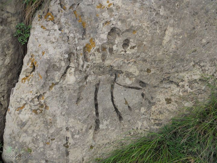 骑行唐泰陵  又观龙首渠DSCN1467