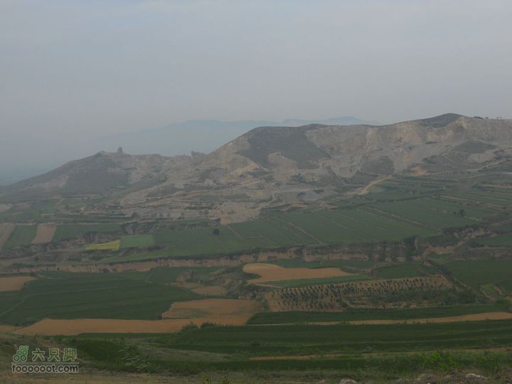 骑行唐泰陵  又观龙首渠DSCN1468