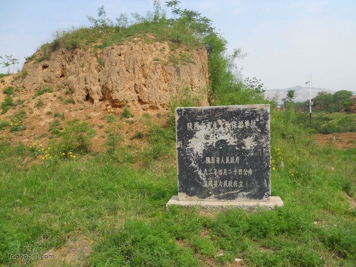 骑行唐泰陵  又观龙首渠DSCN1480