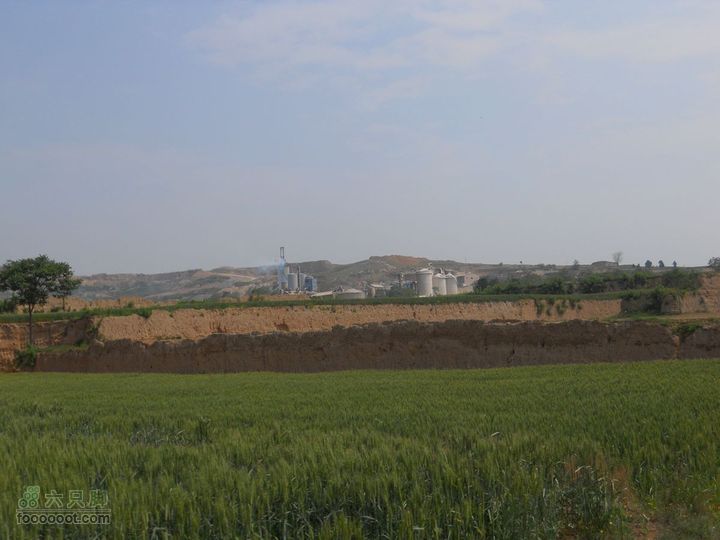 骑行唐泰陵  又观龙首渠DSCN1483