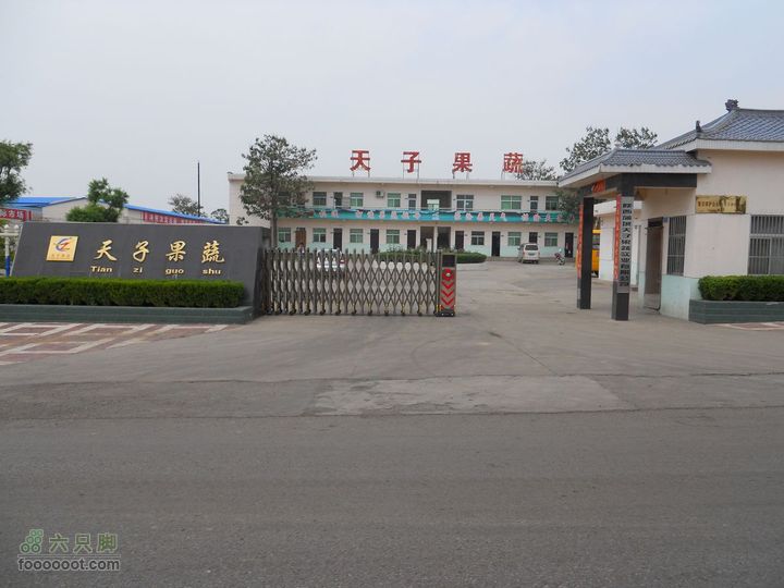 骑行唐泰陵  又观龙首渠DSCN1489