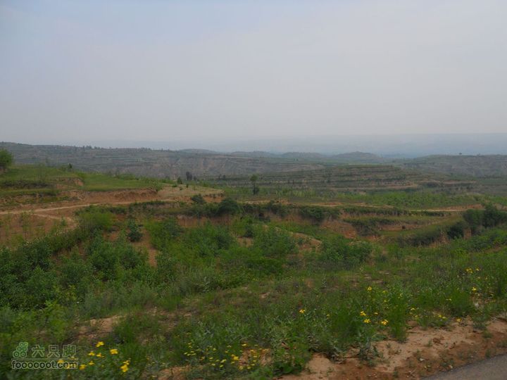 骑行唐泰陵  又观龙首渠DSCN1494