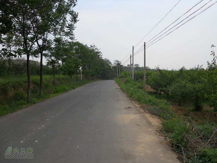 骑行唐泰陵  又观龙首渠DSCN1495