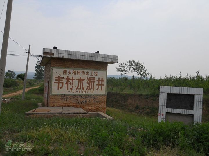 骑行唐泰陵  又观龙首渠DSCN1497