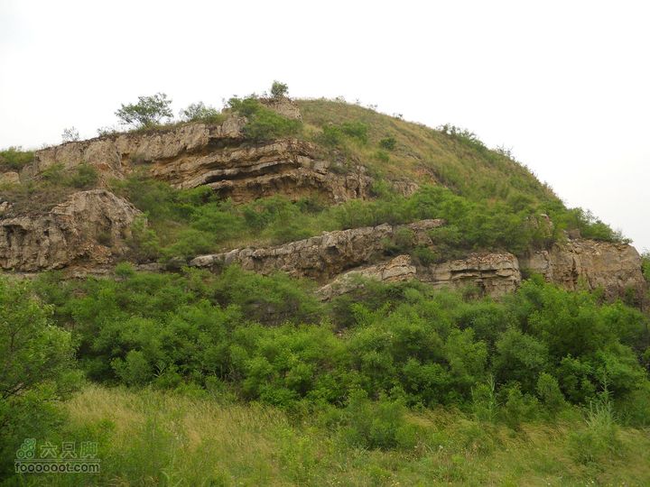 骑行唐泰陵  又观龙首渠DSCN1519