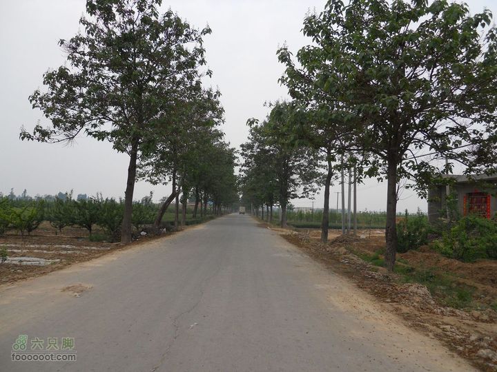 骑行唐泰陵  又观龙首渠DSCN1535