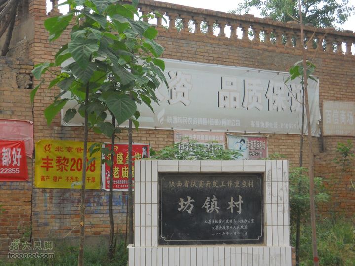 骑行唐泰陵  又观龙首渠DSCN1536