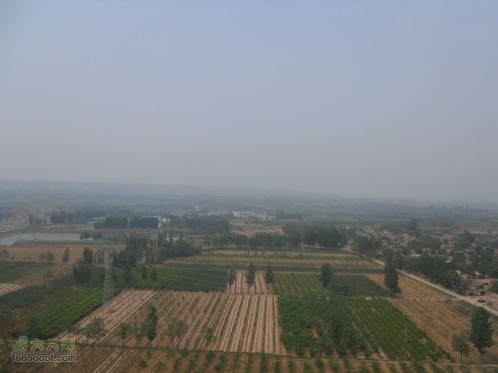 骑行唐泰陵  又观龙首渠DSCN1539