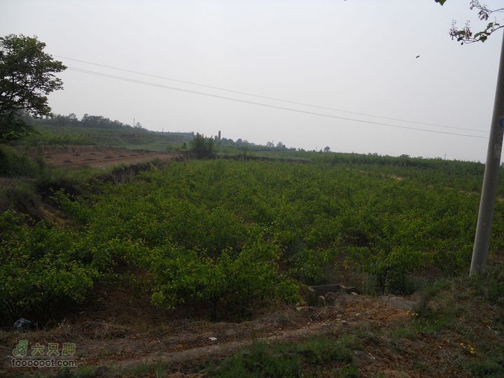 骑行唐泰陵  又观龙首渠DSCN1540