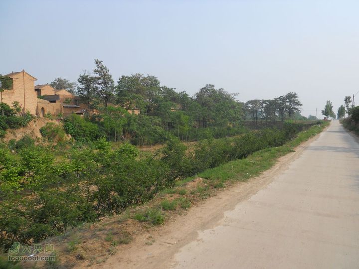 骑行唐泰陵  又观龙首渠DSCN1541