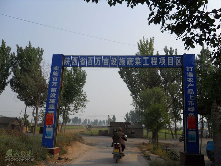 骑行唐泰陵  又观龙首渠DSCN1546