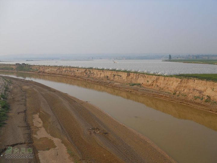 骑行唐泰陵  又观龙首渠DSCN1547